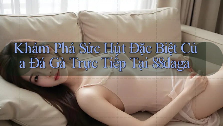 Khám Phá Sức Hút Đặc Biệt Của Đá Gà Trực Tiếp Tại 88daga Khám Phá Sức Hút Đặc Biệt Của Đá Gà Trực Tiếp Tại 88daga