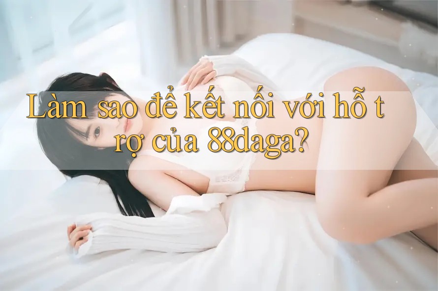 Làm sao để kết nối với hỗ trợ của 88daga?