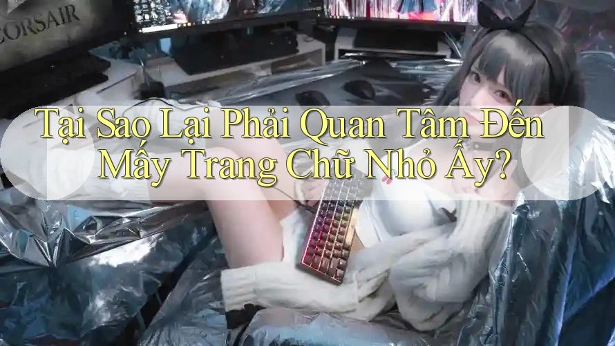 Tại Sao Lại Phải Quan Tâm Đến Mấy Trang Chữ Nhỏ Ấy? Tại Sao Lại Phải Quan Tâm Đến Mấy Trang Chữ Nhỏ Ấy?