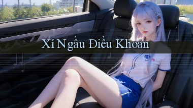 Xí ngầu Điều khoản